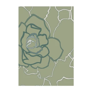 【范登伯格】比利時 夏蔓柔光絲質感地毯-玫瑰(140x200cm/綠)