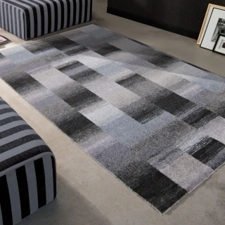 【范登伯格】巴菲特現代時尚地毯(100x150cm/二色)