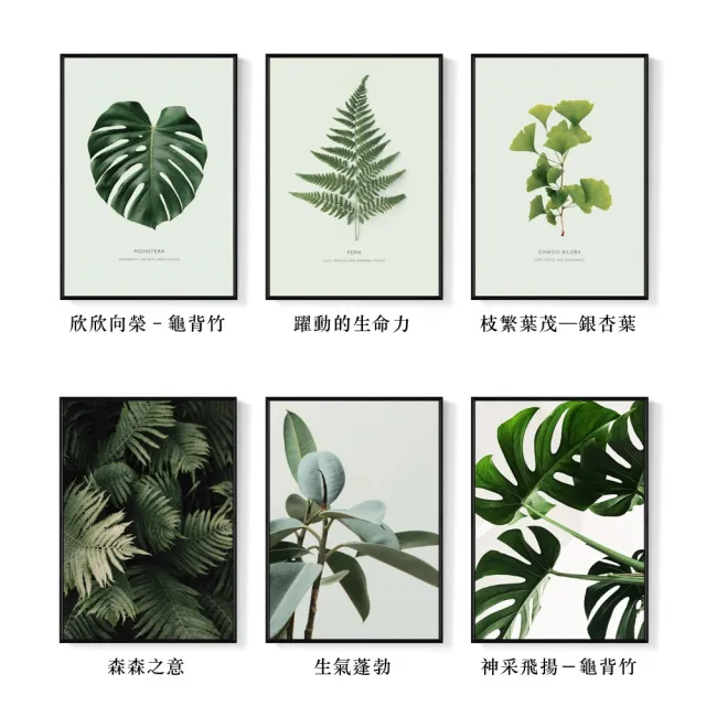 【菠蘿選畫所】清新療癒綠植系列掛畫-42x60cm(龜背竹相框掛牆/簡約植物攝影牆壁裝飾/臥室壁畫)