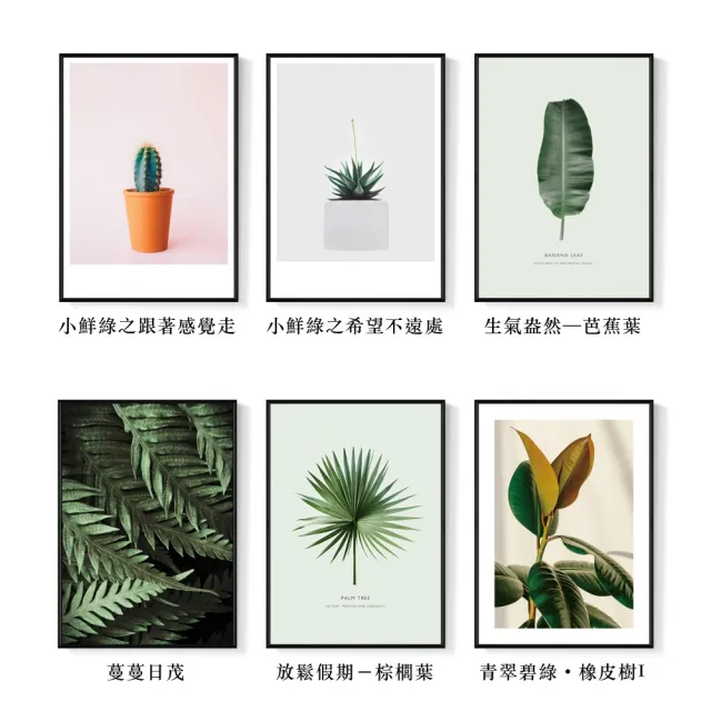 【菠蘿選畫所】清新療癒綠植系列掛畫-42x60cm(龜背竹相框掛牆/簡約植物攝影牆壁裝飾/臥室壁畫)