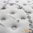 【SLIM 紓壓型】天絲記憶膠銀離子抗菌獨立筒床墊(單人加大3.5尺)