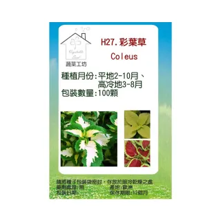 【蔬菜工坊】H27.彩葉草種子(混合色、高40-50cm)