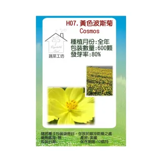 【蔬菜工坊】H07.黃色波斯菊種子