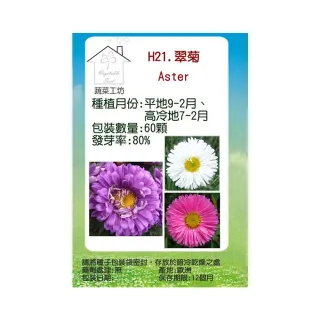 【蔬菜工坊】H21.翠菊種子(蜜蕾、混合色、高25cm)