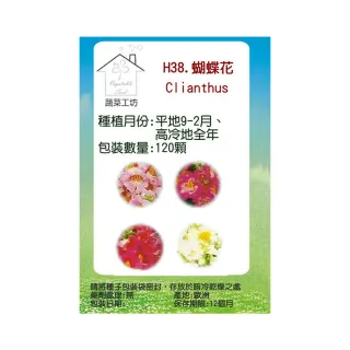 【蔬菜工坊】H58.蝴蝶花種子0.6克(約600顆)