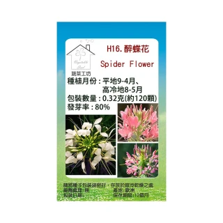 【蔬菜工坊】H16.醉蝶花種子(混合色、高100cm以上)