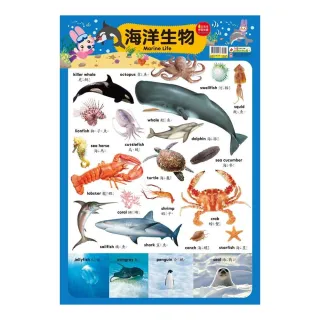 忍者兔學習掛圖【海洋生物】