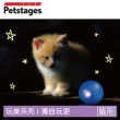 【Petstages】夜光星球(夜光 貓草 陪伴 解壓 貓玩具)