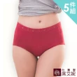 【SHIANEY 席艾妮】5件組 台灣製 竹炭褲底 Tactel纖維 蕾絲高腰內褲