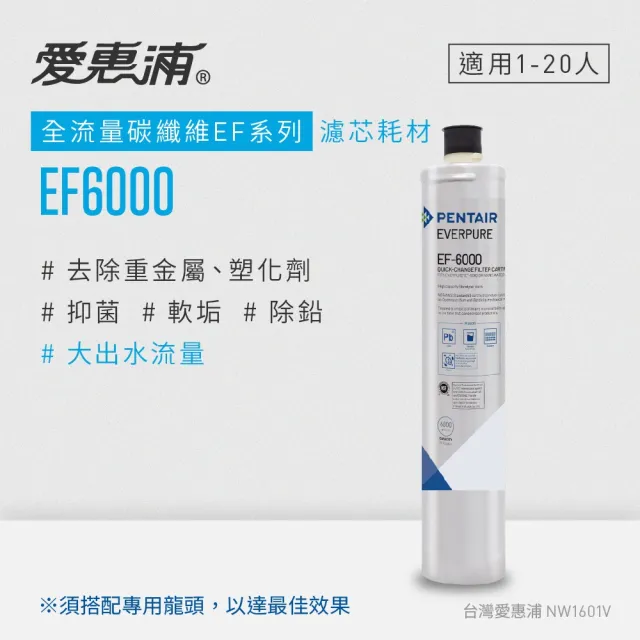 【EVERPURE 愛惠浦】EF6000碳纖活性碳濾芯(DIY更換)
