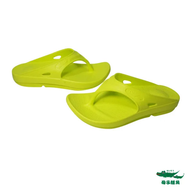 【母子鱷魚】-官方直營-紓壓恢復機能鞋(男女款)