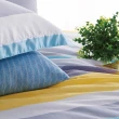 【Fotex芙特斯】流金歲月-天絲系列-雙人加大6尺床包組 含兩件壓框枕套(天然纖維/吸濕排汗)