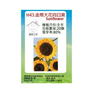 【蔬菜工坊】H43.金幣大花向日葵種子