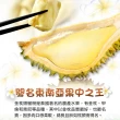 【享吃鮮果】鮮凍金枕頭榴槤果肉10盒(350g/盒)