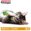 【Petstages】口氣清新薄荷棒(貓草 解壓 潔牙 貓玩具)