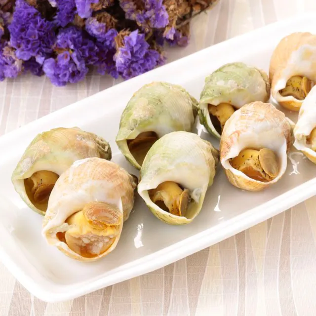【華得水產】特大野生海鳳螺5包組(500g/包)