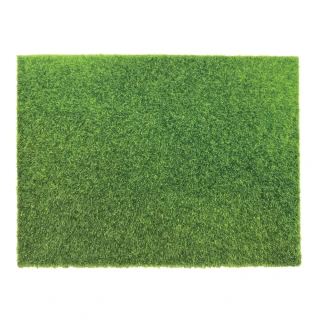 【ABEL 力大牌】青睞-草皮裝飾墊-大(60×45 cm)