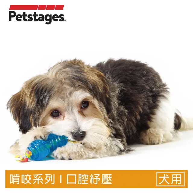 【Petstages】歐卡迷你2合1優惠組（2入）(潔牙 耐咬 防水 狗玩具)