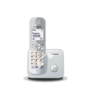 【Panasonic 國際牌】DECT 節能數位無線電話-晨霧銀(KX-TG6811)