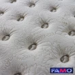 【FAMO 法摩】Coolfoam馬鬃涼感高密度獨立筒床墊(雙人加大6尺)
