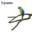 【HAGEN 赫根】Living World 鳥用天然分歧棲木 L號(81542)