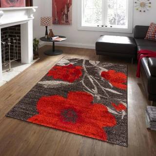 【Ambience】比利時Blossom現代地毯-嫣紅(160x230cm)