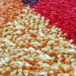 【范登伯格】比利時SWING現代地毯-彩格(120x170cm)