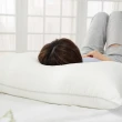 【EverSoft 寶貝墊】3in1杜邦科技纖維枕 14天免費試睡 附枕頭保潔墊(強效支撐 柔軟回彈 改善落枕)