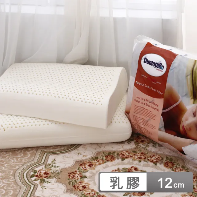【送天絲枕套2入】英國百年品牌 Dunlopillo鄧祿普乳膠枕平面基本型 /人體工學型乳膠枕(12公分/1入)