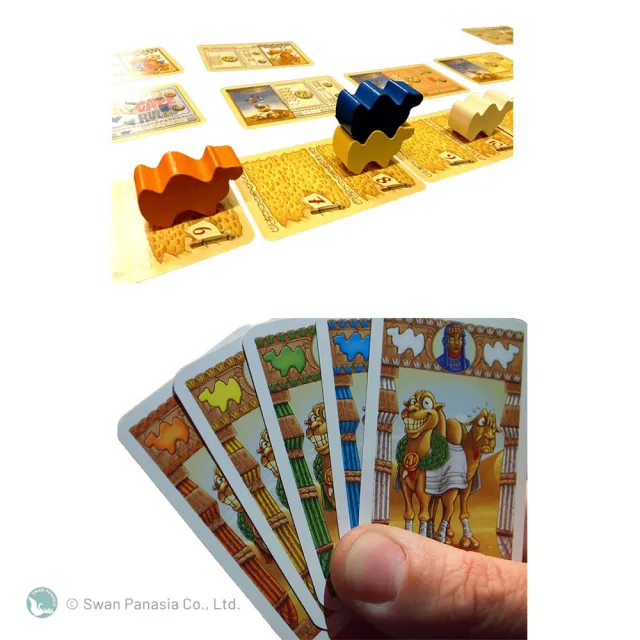 【新天鵝堡桌遊】駱駝大賽紙牌版 Camel Up Cards(全家一起來/越多人越好玩)
