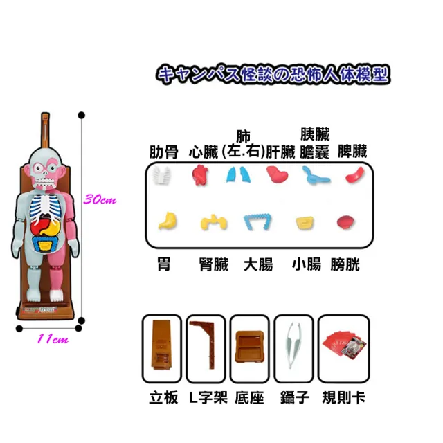 【17mall】毛骨悚然人體模型益智桌遊遊戲(放學後怪談拼裝器官恐怖玩具)