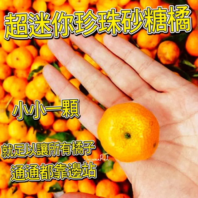 【台灣紅】迷你珍珠砂糖橘(3斤裝/箱)