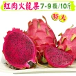 【愛蜜果】台灣紅肉火龍果大顆7-9入原裝箱X1箱(約10斤/箱)