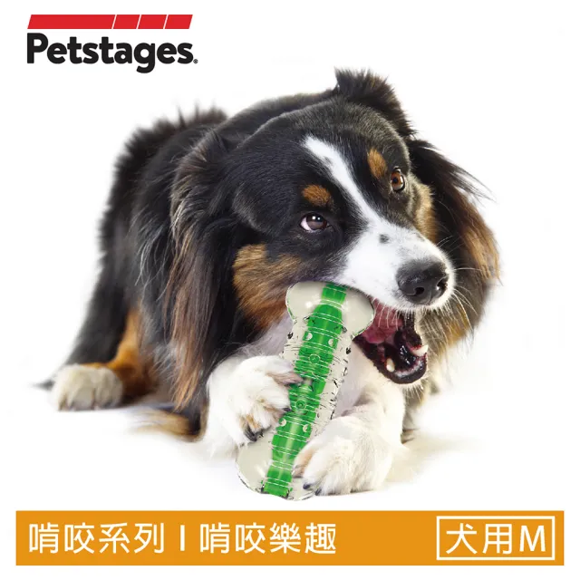 【Petstages】綠咖咖果凍骨-M(潔牙 耐咬 寶特瓶聲響 狗玩具)