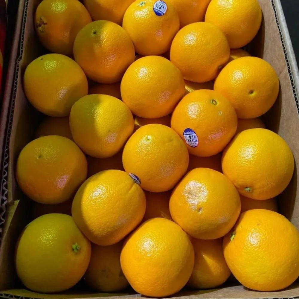 【WANG 蔬果】美國肚臍丁10kgx1箱(10kg/箱)
