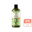 【Petal Fresh】有機成份茶樹控油洗髮精475ml(無矽靈)