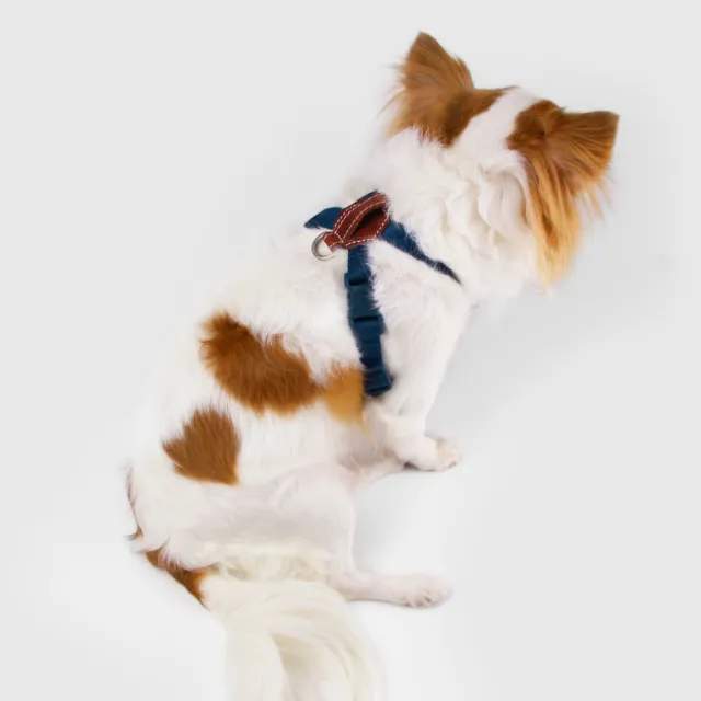 【SPUTNIK 斯普尼克】寵物胸背帶Harness-S(寵物胸背帶/狗狗適用/寵物外出用品)