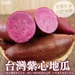 【WANG 蔬果】日本品種生紫黑玉地瓜5斤x1箱(農民直配)