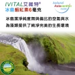 【IVITAL 艾維特】微藻蝦紅素6毫克+微藻DHA/EPA膠囊3入組(共180粒/蝦紅素/藻油DHA/EPA/全素)