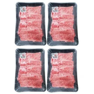 【饗讚買一送一】日本頂級和牛霜降牛肉片2盒(《共4盒》)