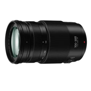 【Panasonic 國際牌】LUMIX G VARIO 100-300mm F4.0-5.6 II POWER O.I.S.(公司貨)