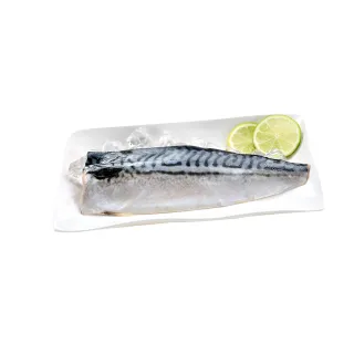 【鮮綠生活】當季野生挪威薄鹽鯖魚S 15片 加碼再送5片 共20片(毛重135-170g/片)