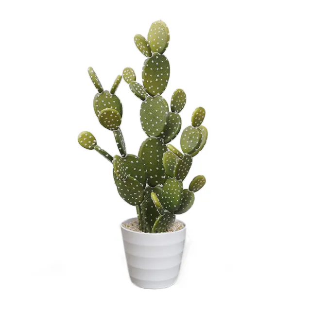 【Meric Garden】北歐風格居家裝飾高仿真大型景觀植栽擺設盆栽(扇型仙人掌)