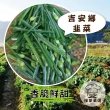【陳記好味】神農豚吉安鄉韭菜水餃3包(共60顆/年菜配菜)