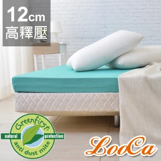 【LooCa】頂級12cm防蹣+防蚊+超透氣記憶床墊(雙人5尺)
