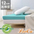 【LooCa】頂級12cm防蚊+防蹣+超透氣記憶床墊(雙人5尺)