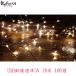 【LEPONT】USB銅線燈串5V10米100燈