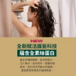 【THE BODY SHOP 美體小舖】薑根鏗活頭皮護髮乳(250ML)