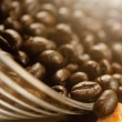 【Krone 皇雀咖啡】阿瑪菲咖啡豆一磅 / 454g(義式綜合咖啡豆)