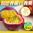 【WANG 蔬果】埔里吊網香甜百香果5斤x1箱(果農直配)
